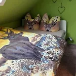 Harzlicht - Dein Basislager Fuer Urlaub Und Abenteuer Im Oberharz Apartamento