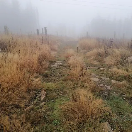 Harzlicht - Dein Basislager Fuer Urlaub Und Abenteuer Im Oberharz アパート *