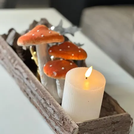 Apartament Harzlicht - Dein Basislager Fuer Urlaub Und Abenteuer Im Oberharz *