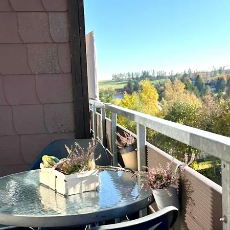 Harzlicht - Mit Balkon Und Weitblick Apartment