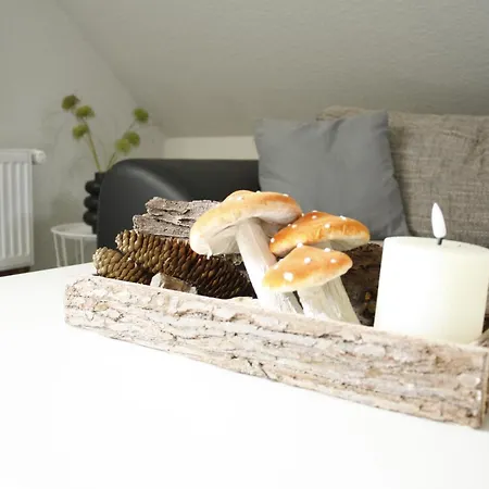 Harzlicht - Dein Basislager Fuer Urlaub Und Abenteuer Im Oberharz *