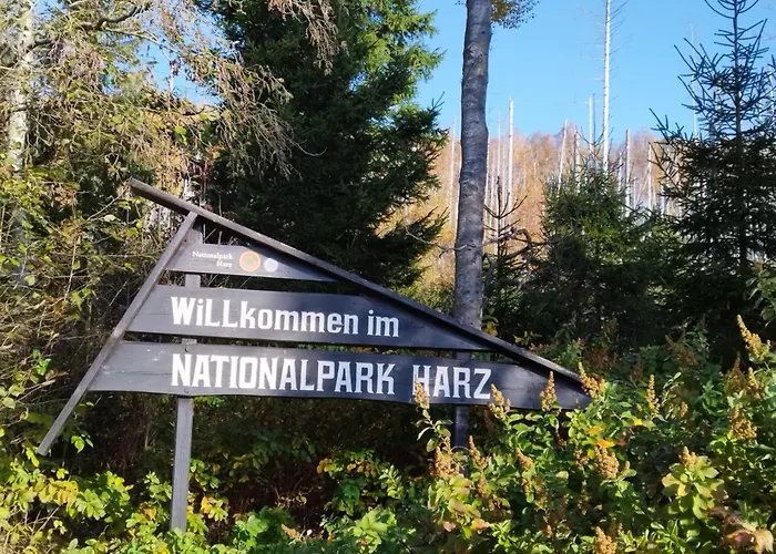 Harzlicht - Dein Basislager Fuer Urlaub Und Abenteuer Im Oberharz アパート *