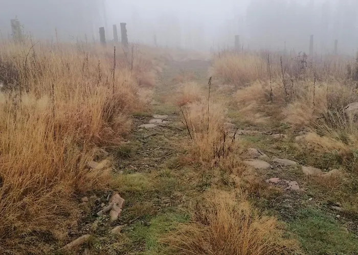 Harzlicht - Dein Basislager Fuer Urlaub Und Abenteuer Im Oberharz アパート *