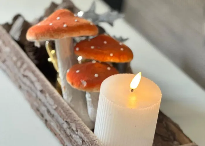 アパート Harzlicht - Dein Basislager Fuer Urlaub Und Abenteuer Im Oberharz *